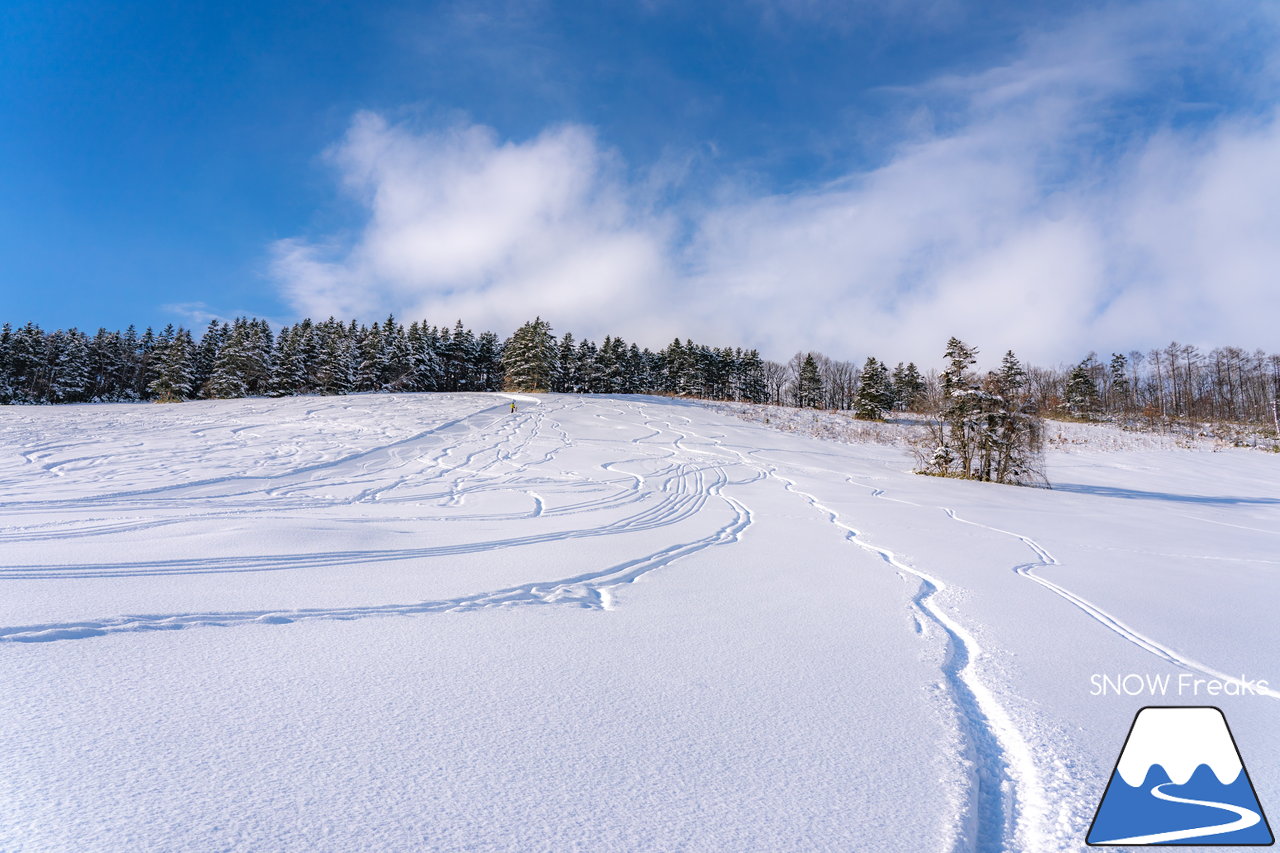 岩見沢萩の山市民スキー場｜整地もパウダーもマイペースで楽しめるローカルスキー場から『Merry Christmas』☆